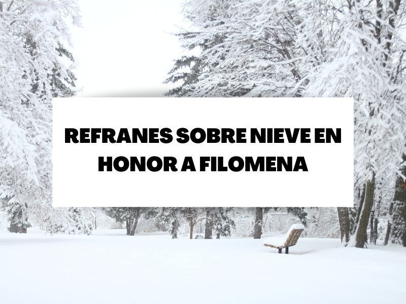 Refranes de nieve para recordar la borrasca Filomena